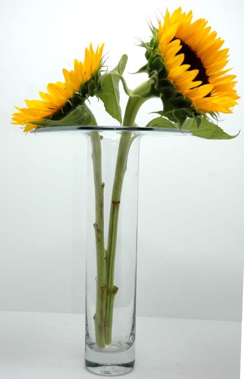 Blenko #826L Flat top Vase