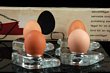 Pukeberg Glass Egg Cup Set